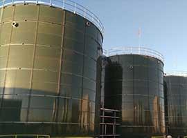 Glas-zu-Stahl-Tank für Landwirtschaftliche Wasserreinigungsprojekte in Ecuador 5