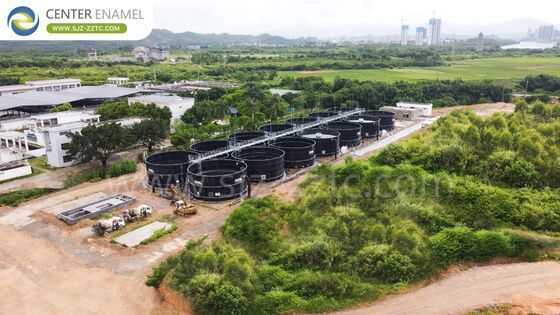 Nachhaltige Energielösungen: GFS-Tanks und Doppelmembrandächer für Kenias Biogasprojekte