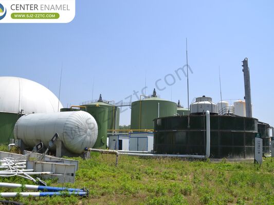 Führender Biogasprojekt-Auftragnehmer mit CSTR-Verfahren zur Behandlung von Rinderdung in Südafrika