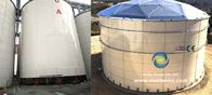Hohe Korrosionsbeständigkeit Expanded Granular Sludge Bed (EGSB) Behälter für die industrielle Wasseraufbereitung