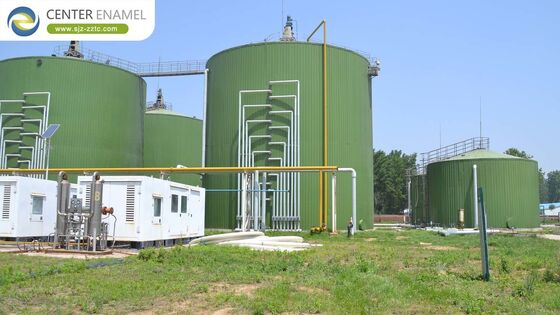 Der Motor der erneuerbaren Energie: GFS Biomasse-Energiespeicher