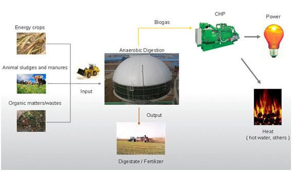 EPC USR / CSTR Biogas Anaerobe Fermentation Biogaslagerung Abfall zur Energie-Projekt-Anlage 1